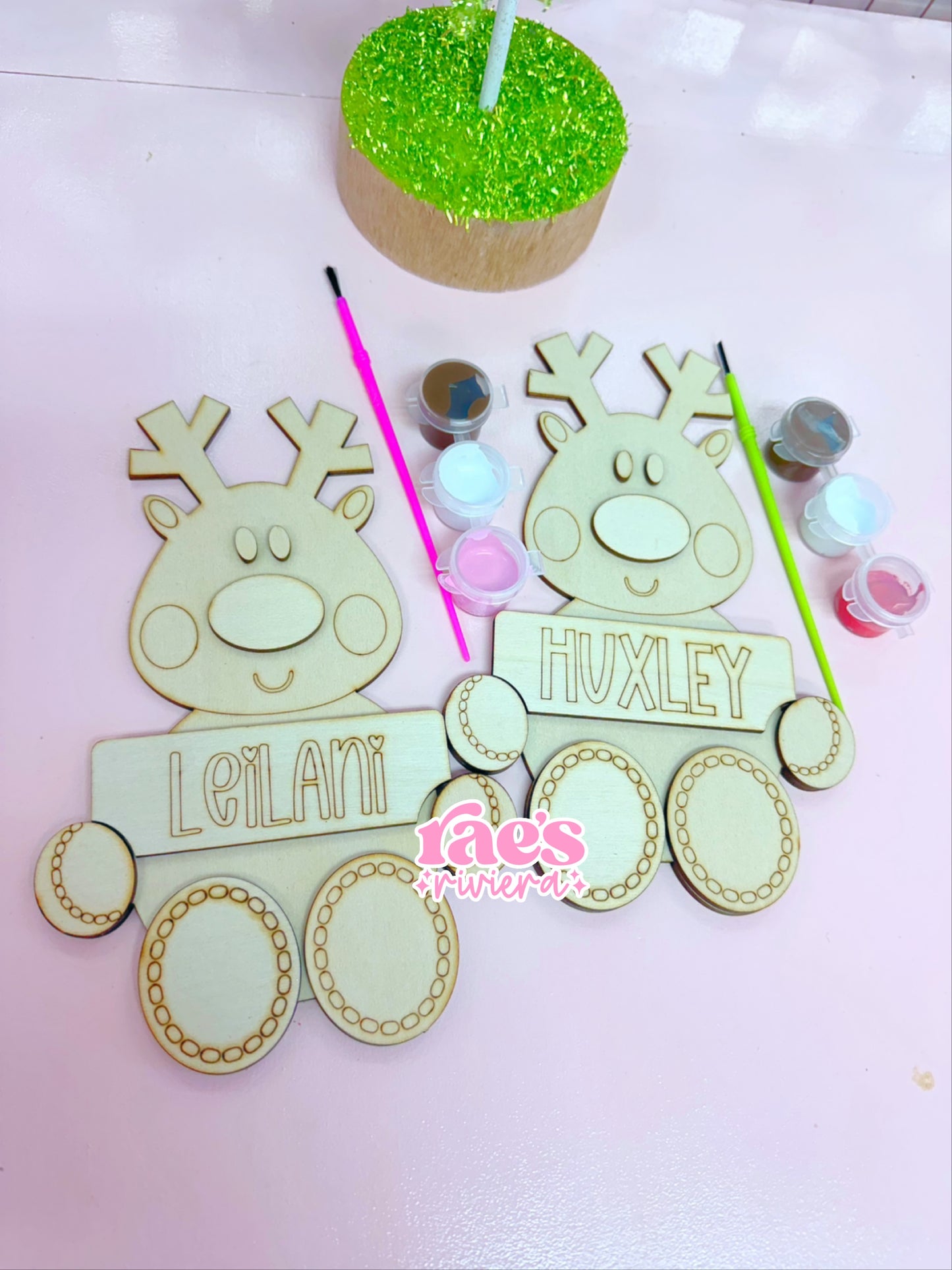 Reindeer Paint Kit WS